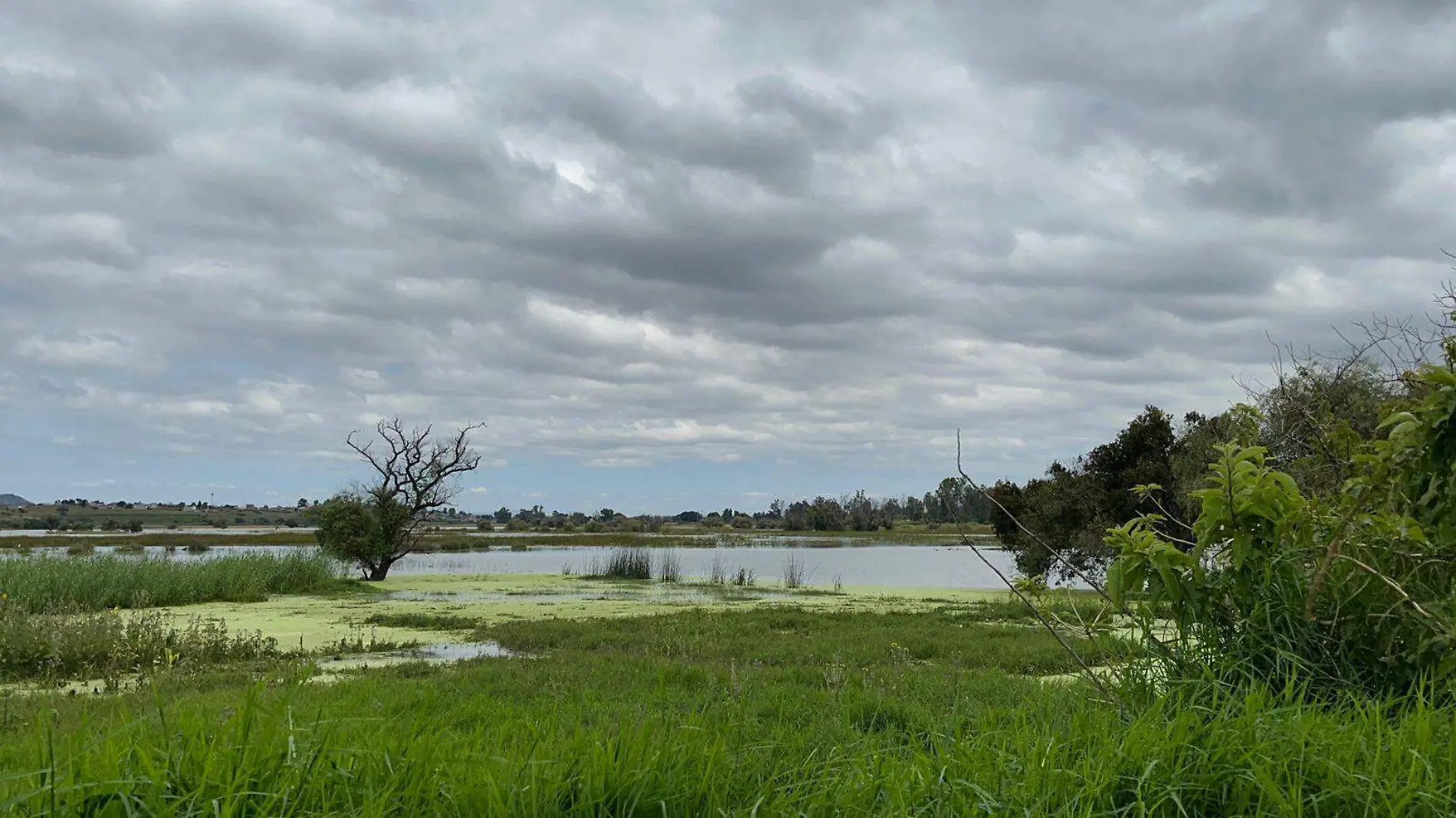 Inundaciones en La Mintzita